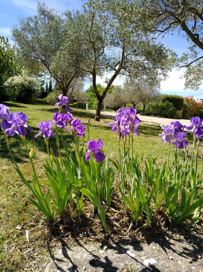 L'Abricotier Βίλα Malaucène Εξωτερικό φωτογραφία